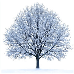 Fototapeta premium A solitary tree stands on a snow-covered ground, its bare branches adorned with a delicate layer of fresh, white snow.