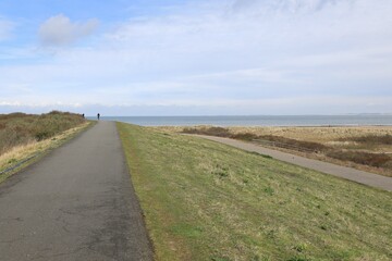 Blick auf die Küstenlandschaft von Nieuwvliet-Bad in den Niederlanden	