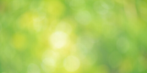 Defocus light natural blurred green plant. Bokeh defocus.