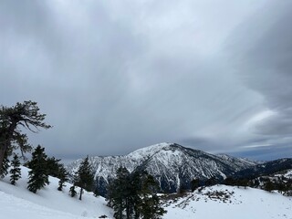 snow covered mountains