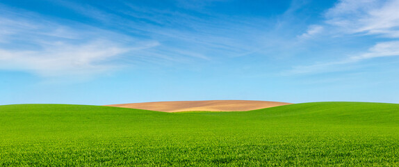 spring landscape with green field and blue sky with white clouds in sunny weather