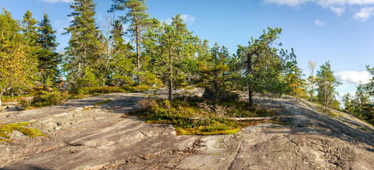 Sunlit Rocky Landscape With Small Pine Trees And Lush Greenery In Tranquil Nordic Wilderness