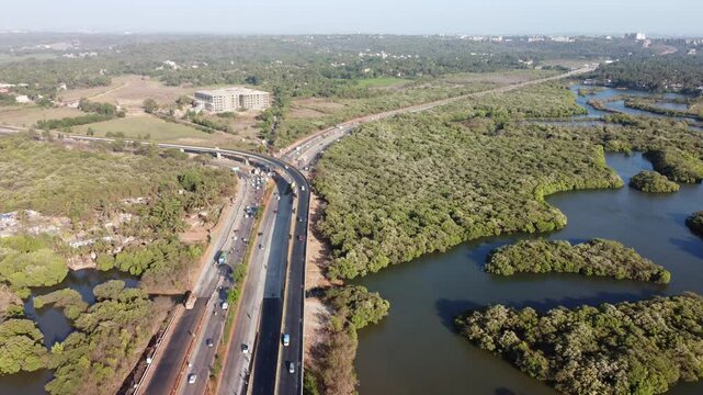 aerial view of the road along mangroves