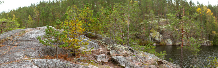 Rocky Cliffside Overlooking Calm Lake with Small Pine Trees and Autumn Foliage in Finnish Wilderness