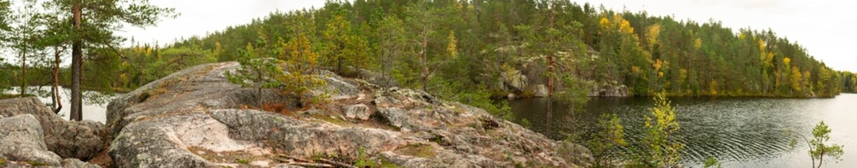 Rocky Outcrop with Small Pine Trees Overlooking Tranquil Lake Surrounded by Lush Forest in Finnish Wilderness