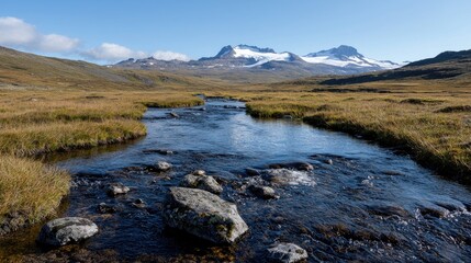 Fototapeta premium Mountain stream flows through autumnal landscape