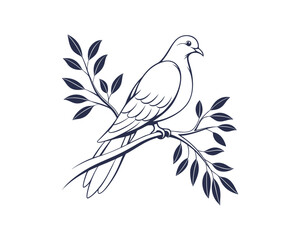 Fototapeta premium Dove Bird vector 
