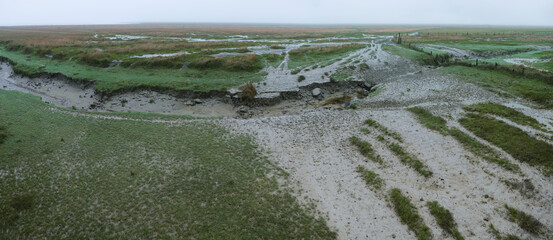View on a misty swampy landscape with the paths of cattle on dirty muddy roads. Empty foggy panoramic deserted landscape.