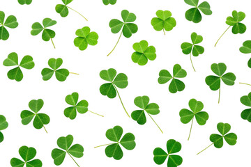 Green clovers scattered on a white background, cut out