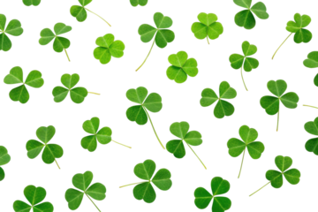 Green clovers scattered on a white background, cut out