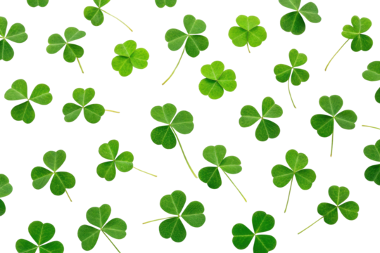 Green clovers scattered on a white background, cut out