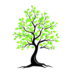 tree with green leaves