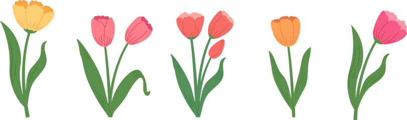 Set of spring tulip flowers in hand draw style. Botanical  vector illustrations.