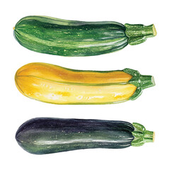 Vibrant, detailed watercolor illustration of two purple eggplants with green stems. 