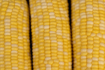 peeled corn cob with yellow and white seeds of different sizes and shades