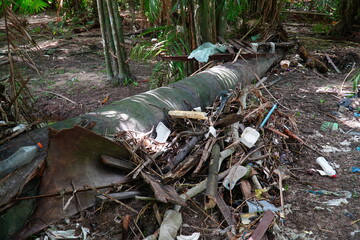 Eco crime, garbage that is thrown carelessly into the rivers. In the central city park of Manaus, the city administration no longer can manage the cleanup. Manaus, Amazonas, Brazil.