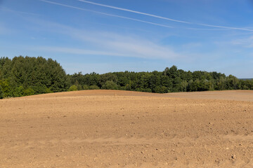 trees growing in the forest in spring next to the field on which the soil was plowed for sowing...