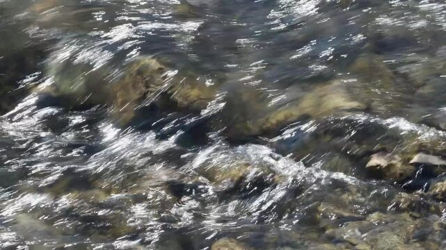  Mountain river running over stones in sunlight 