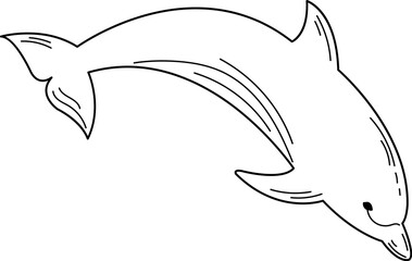 Obraz premium Dolphin sketch, black and white image, outline.