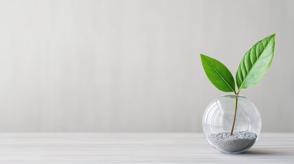 Carbon dioxide emissions inside a transparent sphere, juxtaposed with a green leaf, symbolizing the environmental impact of CO2 and the importance of sustainability, with soft