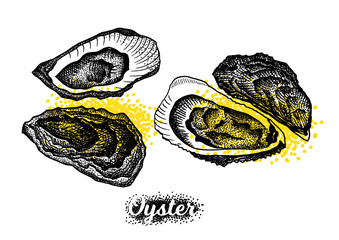 Vintage oyster shell vector illustrations in engraving, dot style. set of elements for menu, flier, t-shirt print, cards.