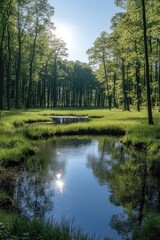 Fototapeta premium Serene Woodland Scene Featuring Reflective Pond Surrounded by Lush Greenery and Tall Trees Under a Clear Sky with Bright Sunlight