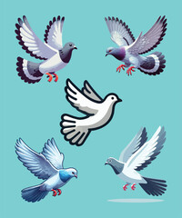 Obraz premium Pigeon Set the Sign of Peace.