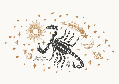 Hand drawn scorpio zodiac sign illustration, horoscope background
