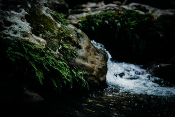 Close-up of a moss-covered rock by a flowing stream, with water glistening under soft light. A...