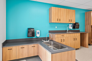 A kitchen with a blue wall and wooden cabinets