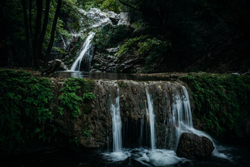 Obraz premium A close-up view of a mesmerizing multi-tiered waterfall surrounded by lush green ferns and moss-covered rocks in a peaceful forest setting. The vibrant foliage and cascading water create a soothing an