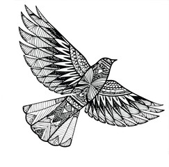 vector illustration of a bird
