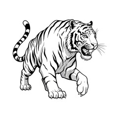 Naklejka premium tiger vector illustration