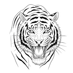 tiger vector illustration