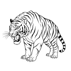 Fototapeta premium Angry Tiger Illustration with Open Mouth and Fierce Expression