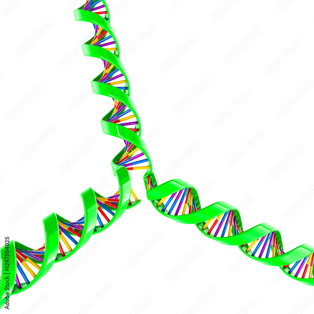 Poster dna replication fork. biotechnology research, concept. 3d rendering isolated on transparent backgrou