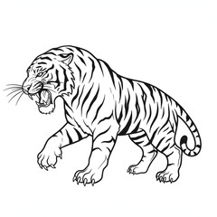 Obraz premium Black and White Roaring Tiger Illustration