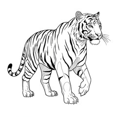 Naklejka premium tiger vector illustration