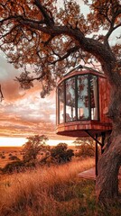 Glass Treehouse Overlooking Savannah at Sunset Phone Background