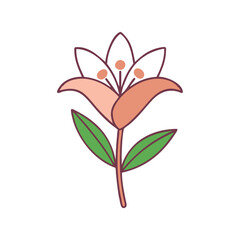 Wildflower lily botanical illustration