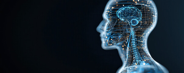 transparent human body with holographic brain and neural pathways, showcasing intricate details of nervous system and organ connections