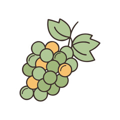 grapes fruit agriculture