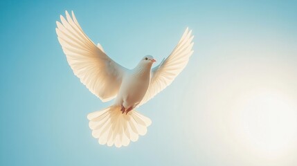 Fototapeta premium White dove soaring, sunlit sky, peace symbol, spiritual image