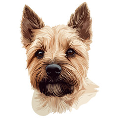 Cairn Terrier Head &ndash; Detailed Watercolor Vector Illustration for Artistic Creations  
