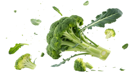 Fresh broccoli and leaves floating in mid air