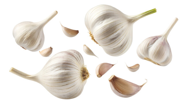 Fresh garlic bulbs and cloves floating