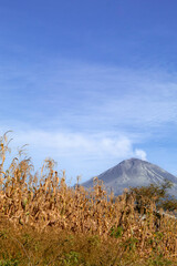 popocat&eacute;petl de fondo 