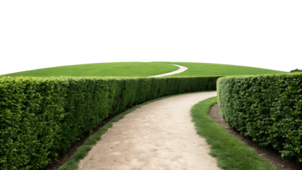 Pathway through lush hedges leading to green hill