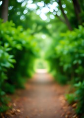 Obraz premium Natural bokehblurred bokeh bokeh green bokeh green abstract background light bright blur pattern