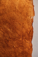 rustic handmade brown paper texture with raw edge